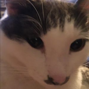 Meet your Posher, Terry